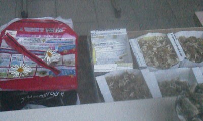 170628_1904_001.jpg