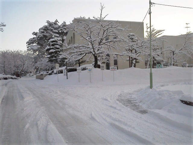 A.jpg