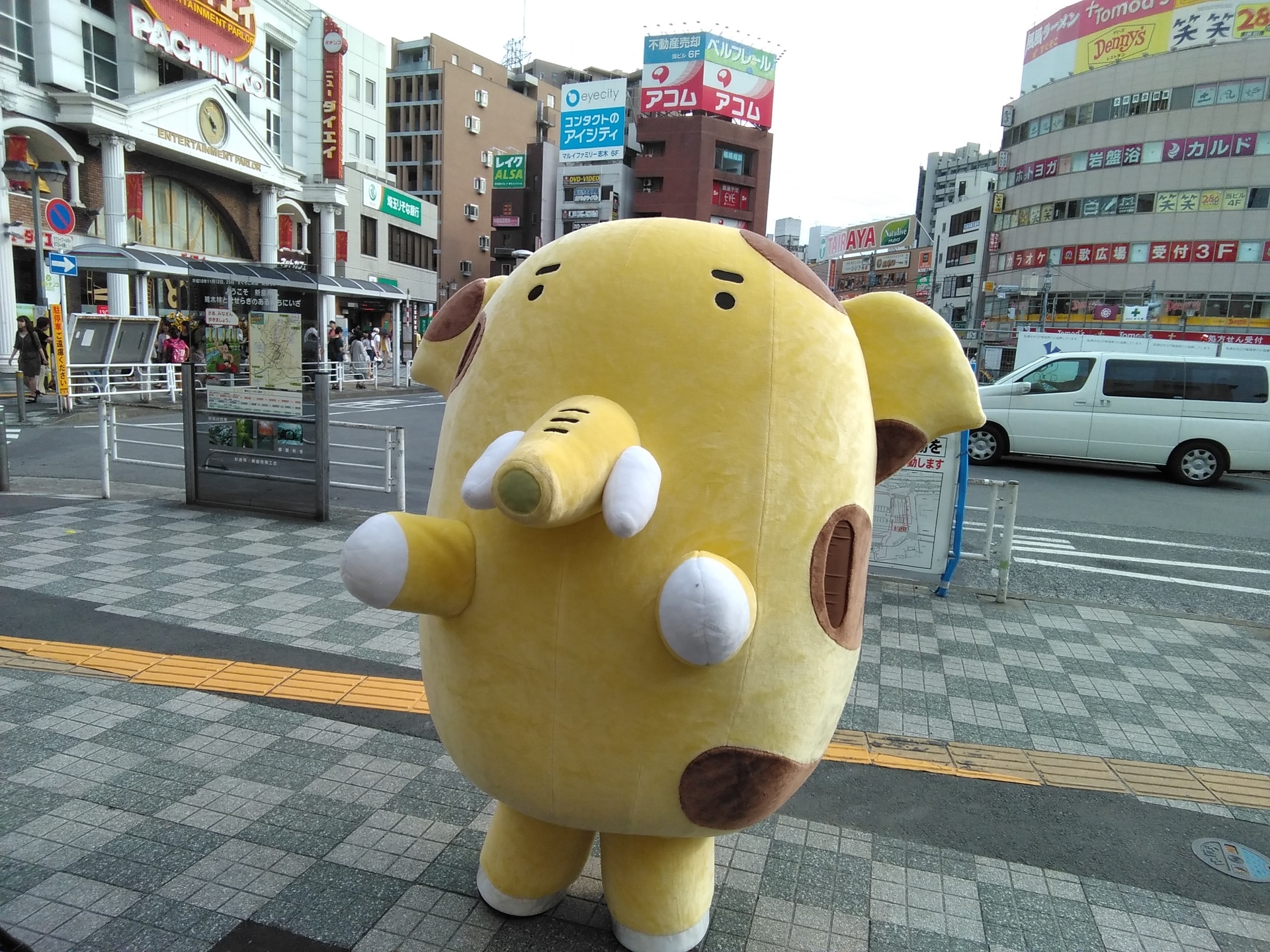 IMG_20180711_165303.jpg