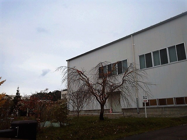 K4020576a.jpg